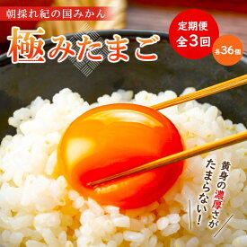 【ふるさと納税】【全3回】紀の国みかん極みたまご定期便 | 和歌山県 印南町 和歌山 返礼品 支援 楽天ふるさと 納税 たまご 玉子 卵焼き 玉子焼き たまご焼き 生卵 鶏卵 たまごかけ 国産 送料無料