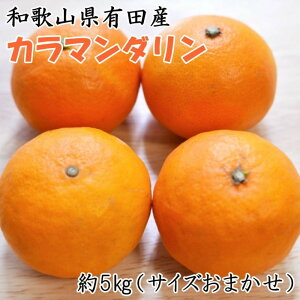 yӂ邳Ɣ[Łzyt݂za̎RLcY J}_ 5kg TCY܂ 2026N4菇 mTM209wn | IW t[c ʕ  Hi lC  