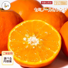 【ふるさと納税】【選べる容量】家庭用 森本農園の手選別 セミノールオレンジ 4.5kg～10kg 和歌山県産 サイズ混合 ［北海道・沖縄・離島配送不可］［2027年4月中旬から順次発送］ | みかん 蜜柑 フルーツ 果物 くだもの 食品 人気 おすすめ 送料無料