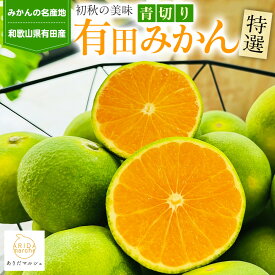 【ふるさと納税】［先行予約］特選 青切り有田みかん 3kg ［2026年9月中旬より発送］［MS21］ | フルーツ 果物 くだもの 食品 人気 おすすめ 送料無料