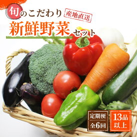 【ふるさと納税】【定期便 / 全6回：奇数月お届け】旬の新鮮野菜セットB（たっぷり13種類以上） | 野菜 やさい 食品 人気 おすすめ 送料無料