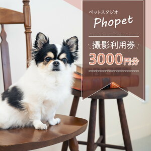【ふるさと納税】ペットスタジオPhopet 撮影利用券3000円分相当 | 写真 フォト 利用券 券 人気 おすすめ 送料無料