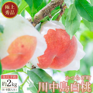 yӂ邳Ɣ[Łzs\Imn쒆@2kg 6`8m2026N7珇nmGin_ƌI mKG13n |  t[c ʕ  Hi lC  