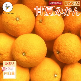 【ふるさと納税】【選べる容量】訳あり 森本農園の手選別 甘夏みかん 約2～10kg 和歌山県産 サイズ混合 ［北海道・沖縄・離島配送不可］［2026年4月上旬から順次発送］ | みかん 蜜柑 フルーツ 果物 くだもの 食品 人気 おすすめ 送料無料