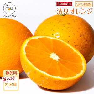 yӂ邳Ɣ[ŁzyIׂeʁz p X{_̎I IIW 2`10kg a̎RY TCY mkCEEzsnm2026N2{5{\n 