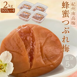 yӂ邳Ɣ[ŁzyIׂeʁzIB썂~ IԂ~ 5 1`2kg (500g×2`4) mKn22n | ~ Hi HHi lC  