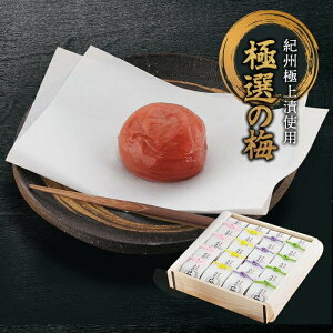 yӂ邳Ɣ[ŁzɑI̔~ ؔ 120 mKn12n | ~ Hi HHi lC  