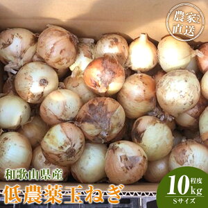 yӂ邳Ɣ[ŁzmIׂTCYnm2026NEs\n_Ƃ񒼑 _ʂ˂ S~2LTCY 10kgxm4{`7{\n | ܂˂ _ ʂ˂  ₳ Hi l