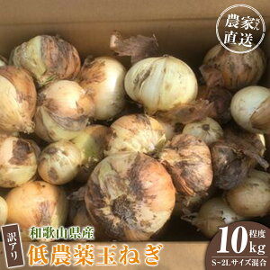 yӂ邳Ɣ[ŁzmIׂeʁnm2026NEs\n󂠂 _Ƃ񒼑 _ʂ˂ 4kg`10kgx S`2Lm4{`7{\nƒp L | ܂˂ _ 