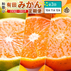 yӂ邳Ɣ[Łzƒp kSSi10`12jS3y݂ւŁz mIKE299n | t[c ʕHi lC  