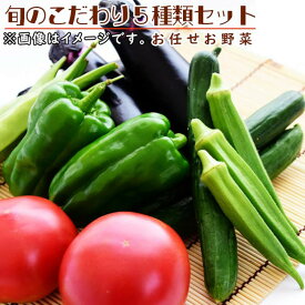 【ふるさと納税】旬のこだわり5種類セット | 野菜 野菜詰め合わせ 詰め合わせ 夏野菜 冬野菜 先行予約 産地直送 ふるさと納税　