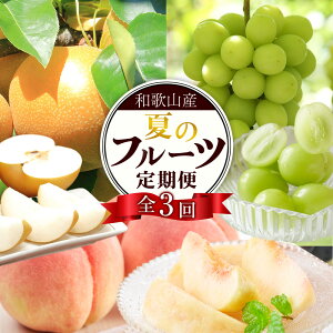 yӂ邳Ɣ[Łz֑S3 y7E8E9z a̎R̉Ẵt[c͂iEEVC}XJbgj mTM224n | VC }XJbg Ԃǂ Ȃ  t[c ʕ 