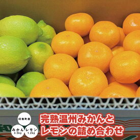 【ふるさと納税】印南町産 完熟温州みかん約3.5kg（S～Lサイズ）＆レモン約1.2kg詰め合わせ | みかん 温州 完熟 温州みかん レモン れもん 檸檬 和歌山 印南町 柑橘 果物 フルーツ くだもの セット商品 ふるさと納税 返礼品