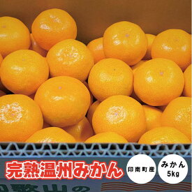 【ふるさと納税】地元印南町産『完熟温州みかん』約5kg（S～Lサイズ） | みかん 温州 完熟 温州みかん 和歌山 印南町 柑橘 果物 フルーツ くだもの ふるさと納税 返礼品