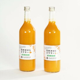 【ふるさと納税】【選べる容量・本数】とろり みかんネクター 180ml または 720ml ／ 2本～20本 | フルーツ 果物 くだもの 食品 人気 おすすめ 送料無料
