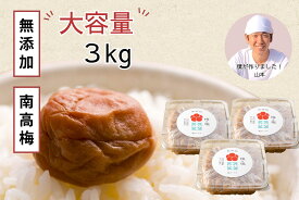 【ふるさと納税】【大容量 / 無添加梅干し】天日塩だけで漬けた梅干し1kg×3パック/ 南高梅