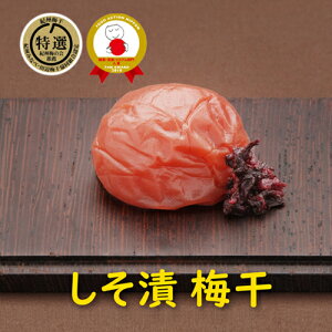 yӂ邳Ɣ[ŁzIA IB썂~ 800g N̒mb ~ p uh~ a̎RY