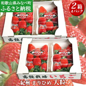 【ふるさと納税】いちご(まりひめ)DXサイズ 約300g×4パック / 苺 イチゴ 甘い あまい 大粒 朝摘み 朝採れ 新鮮 果物 フルーツ 旬 和歌山県オリジナル品種