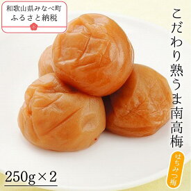 【ふるさと納税】こだわり熟うま南高梅 はちみつ梅 250g×2 | 《日本一の梅の産地》 無添加 減農薬 自家農園 和歌山 みなべ町 坂忠商店 梅干 梅 ウメ うめぼし 紀州梅干 南高梅 ギフト