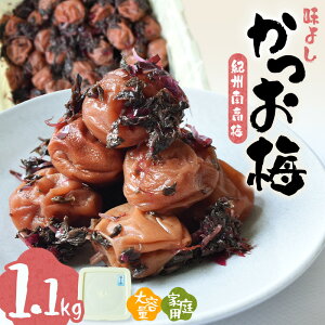 yӂ邳Ɣ[ŁzIB썂~悵i~jkƒpl 1.1kg | 󂠂 s{̔~̎Ynt sSN̓`t IB IB~ a̎R ~  E ~ ~ IB썂~