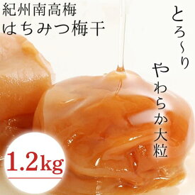 【ふるさと納税】 はちみつ梅干し1.2kg（600g×2パック） 紀州南高梅 和歌山県産 / ご家庭用 家庭用 はちみつ梅 はちみつ漬け 蜂蜜梅 南高梅 大粒 大玉 塩分7％ 塩分控えめ 普段使い おにぎり お弁当 小分け