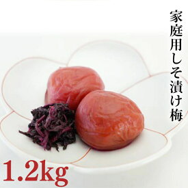 【ふるさと納税】【家庭用】みなべの梅（しそ漬け）1.2kg / 梅干し ウメ 紫蘇 紫蘇梅 しそ漬け うめぼし しそ梅 ご家庭用 ワケあり 訳あり 塩分約10% おにぎり お弁当 小分け セット