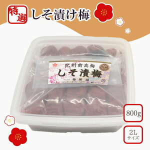 yӂ邳Ɣ[ŁzyIzЂ~800g 2L | ~ ߂ڂ 썂~ ~ h a̎R
