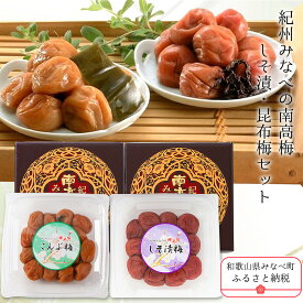 【ふるさと納税】紀州みなべの南高梅（しそ漬・昆布梅セット） 合計800g / 梅干し 紀州南高梅 南高梅 しそ梅 みなべ みなべ町