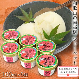 【ふるさと納税】和歌山の南高梅（シャーベット） | 《日本一の梅の産地》 紀州 和歌山県 みなべ町 梅干しシャーベット スイーツ 梅 うめ ギフト 贈答品 贈り物