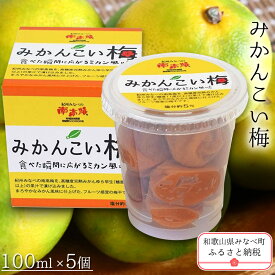【ふるさと納税】みかんこい梅 | 《日本一の梅の産地》 紀州 和歌山県 みなべ町 梅干し 梅 うめ 塩分 5%