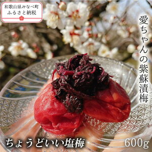 yӂ邳Ɣ[Łzy傤ǂ~z̎h p 600g | s{̔~̎Ynt a̎R ݂Ȃג ~  E ~ ~ ~   13% ÂȂ Mtg 蕨
