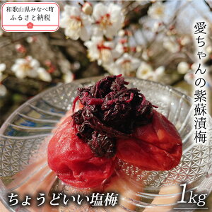 yӂ邳Ɣ[Łzy傤ǂ~z̎h p 1kg | s{̔~̎Ynt a̎R ݂Ȃג ~  E ~ ~ ~   13% ÂȂ Mtg 蕨