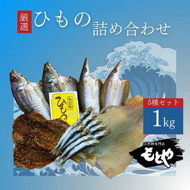 【ふるさと納税】 ひもの詰合せ 5種類セット 1kg 潮彩 | 詰め合わせ 干物 魚 あじ するめいか いわし かます セット 添加物不使用