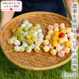 【ふるさと納税】無農薬 紀州南高梅 冷凍梅の実 1kg×2｜手もぎ完熟フルーティ 梅 南高梅 和歌山産