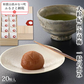 【ふるさと納税】一粒の恵み