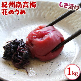 【ふるさと納税】紀州南高梅 花のうめ しそ漬け 1kg | 南高梅 梅 ウメ 紫蘇 調味料不使用