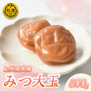 【ふるさと納税】紀州南高梅特選 みつ大玉 800g 梅干し はちみつ 梅 ふるさと納税 紀州南高梅 南高梅 うめぼし 高級 ギフト 大粒 特選(みつ大玉 塩分8%)