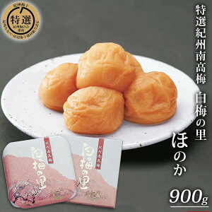 yӂ邳Ɣ[ŁzI IB썂~u~̗vق̂ 900g |~ ߂ڂ 썂~ a̎R   T