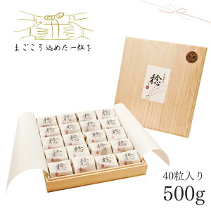 yӂ邳Ɣ[ŁzIB썂~uv40i500gjba݂̍~ p IB݂Ȃׂ̓썂~