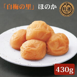 yӂ邳Ɣ[ŁzI IB썂~u~̗vق̂ 430g |~ ߂ڂ 썂~ a̎R   T