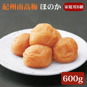 yӂ邳Ɣ[ŁzIB썂~ ق̂ ƒpB 600g |~ ߂ڂ 썂~ a̎R   T