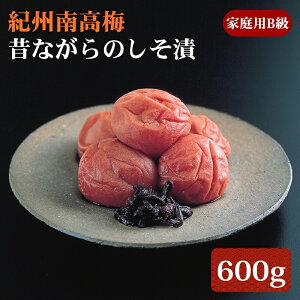 yӂ邳Ɣ[ŁzIB썂~ ̂Ȃ̂ ƒpB 600g |~ ߂ڂ 썂~ ~ h a̎R