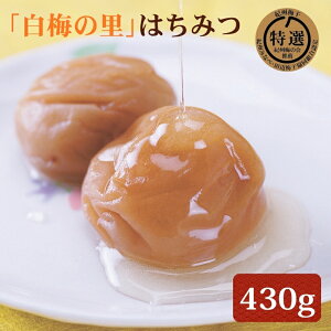 yӂ邳Ɣ[ŁzI IB썂~u~̗v݂͂ 430g |~ ߂ڂ 썂~ ݂͂~ I a̎R