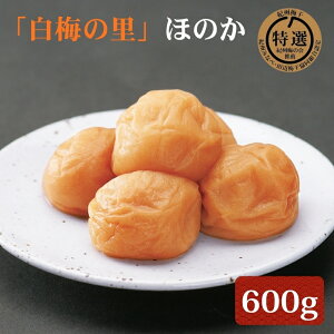 yӂ邳Ɣ[ŁzI@IB썂~u~̗vق̂@600g | ~ ~ 썂~ ~ E   T