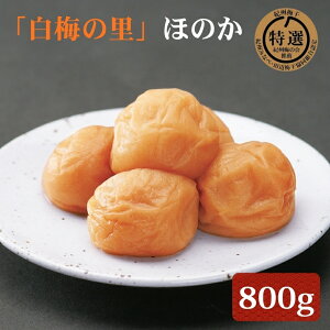 yӂ邳Ɣ[ŁzI IB썂~u~̗vق̂ 800g |~ ߂ڂ 썂~ a̎R   T