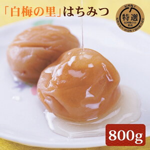 yӂ邳Ɣ[ŁzI IB썂~u~̗v݂͂ 800g |~ ߂ڂ 썂~ ݂͂~ I a̎R