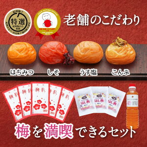 yӂ邳Ɣ[Łz~iZbg IA IB썂~ 킢4800g N̒mb ~ ~D a̎RY
