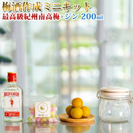 【ふるさと納税】梅酒作成ミニキット（ジンベース） 200ml | 最高級紀州南高梅 南高梅 和歌山 紀州 ジン ジン梅酒 クラフト梅酒 梅 うめ