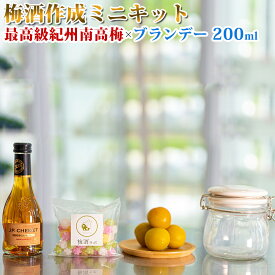 【ふるさと納税】梅酒作成ミニキット（ブランデーベース） 200nl | 最高級紀州南高梅 南高梅 和歌山 紀州 ブランデー梅酒 クラフト梅酒 梅 うめ