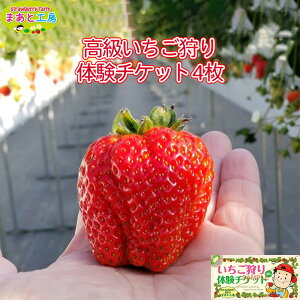 yӂ邳Ɣ[Łžt@~[`Pbg |   ̌`Pbg a̎R